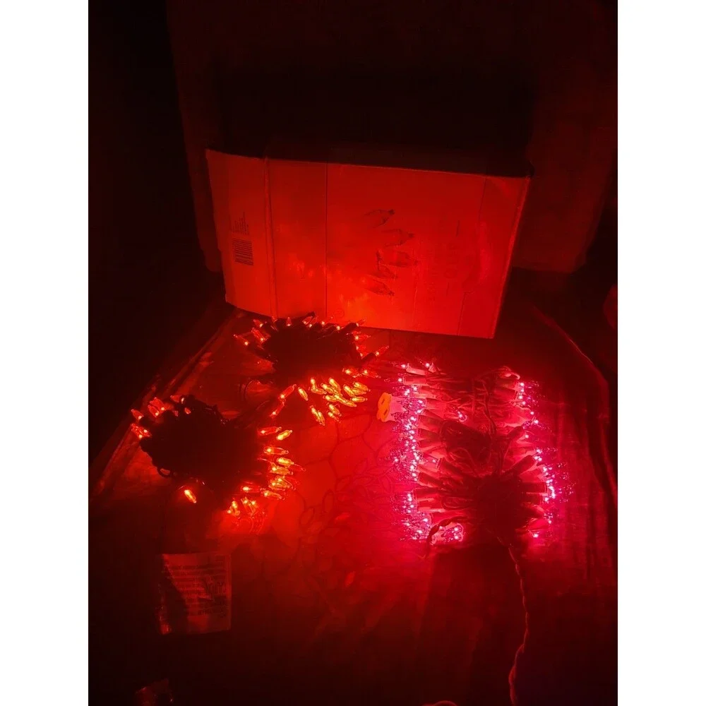 Holiday time 300 clear mini lights.